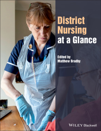 Matthew Bradby. District Nursing at a Glance