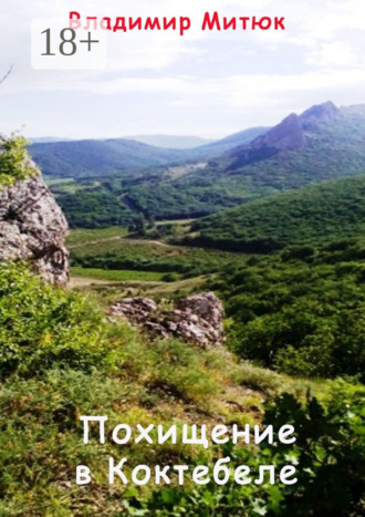 Похищение в Коктебеле. Владимир Митюк