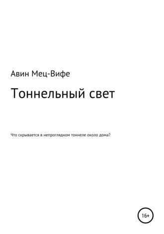 Авин Мец-Вифе. Тоннельный свет