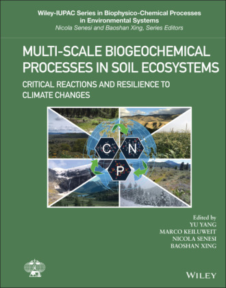 Группа авторов. Multi-Scale Biogeochemical Processes in Soil Ecosystems