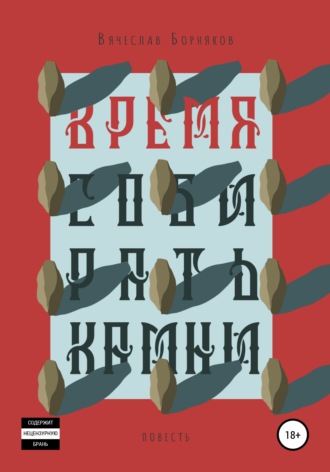 Время собирать камни. Вячеслав Игоревич Борняков