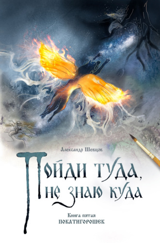 Пойди туда, не знаю куда. Книга 5. Покатигорошек. 