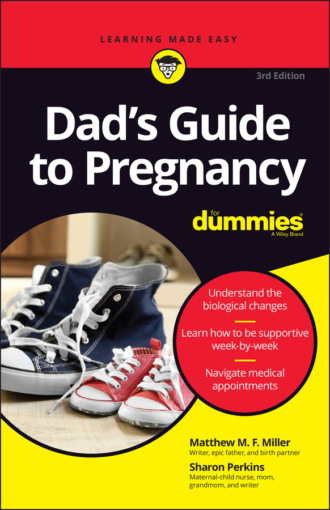 Sharon  Perkins. Dad's Guide to Pregnancy For Dummies