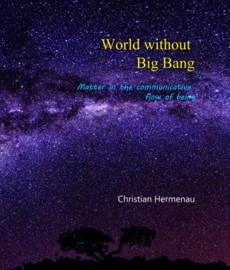 Christian Hermenau. World without Big Bang