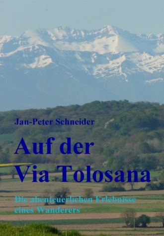 Jan-Peter Schneider. Auf der Via Tolosana