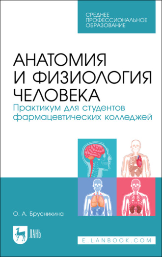 О. А. Брусникина. Анатомия и физиология человека. Практикум для студентов фармацевтических колледжей