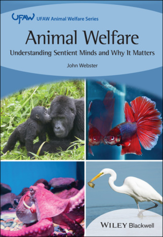 John  Webster. Animal Welfare
