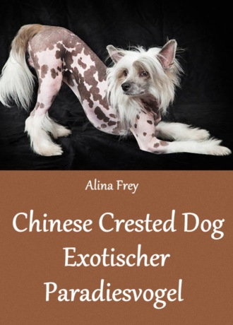 Alina Frey. Chinese Crested Dog