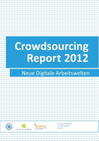 Группа авторов. Crowdsourcing Report 2012