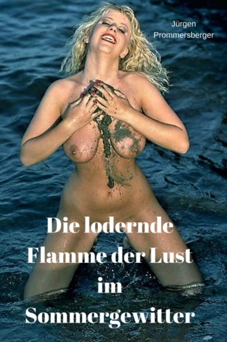 J?rgen Prommersberger. Die lodernde Flamme der Lust im Sommergewitter