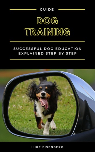 Luke Eisenberg. Dog Training