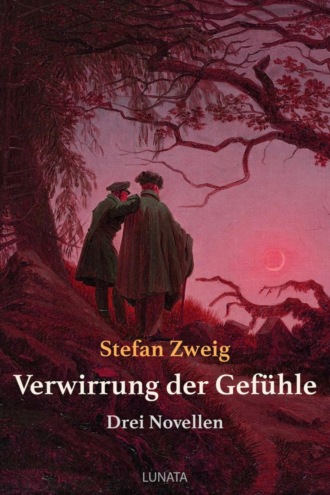 Stefan Zweig. Verwirrung der Gef?hle