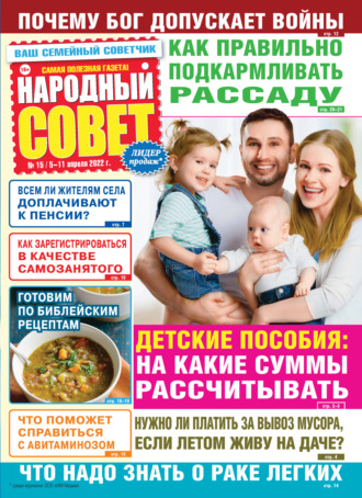 Народный совет №15/2022. Группа авторов
