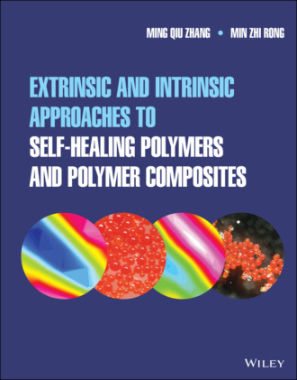 Ming Qiu Zhang. Extrinsic and Intrinsic Approaches to Self-Healing Polymers and Polymer Composites