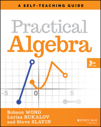 Steve  Slavin. Practical Algebra