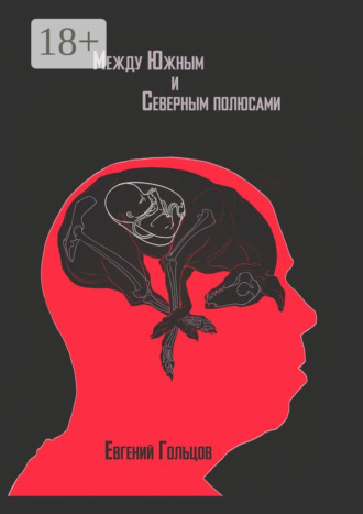 Между Южным и Северным полюсами. Евгений Гольцов