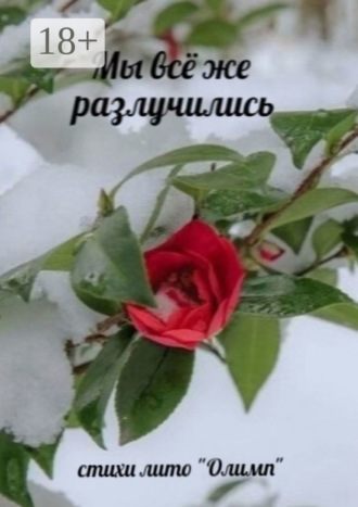 Мы всё же разлучились. Стихи лито «Олимп». Александр Георгиевич Акимов