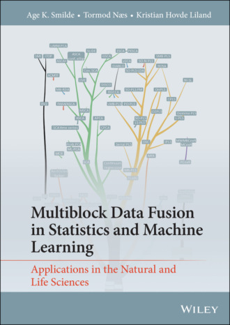 Tormod N?s. Multiblock Data Fusion in Statistics and Machine Learning