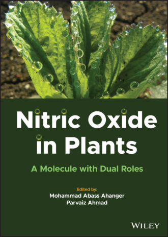 Группа авторов. Nitric Oxide in Plants