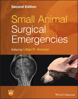 Группа авторов. Small Animal Surgical Emergencies