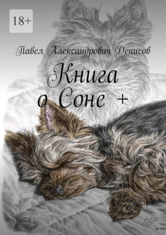 Книга о Соне +. Павел Александрович Денисов
