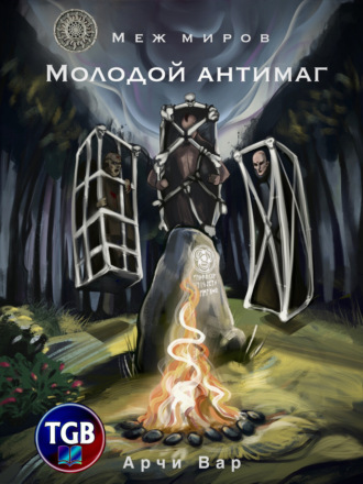 Меж миров. Молодой антимаг. 