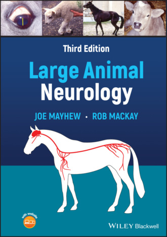 Joe Mayhew. Large Animal Neurology