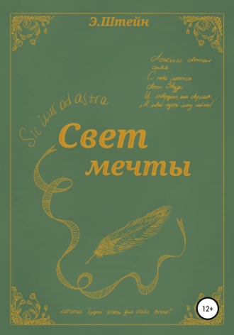 Свет мечты. Эльвира Штейн