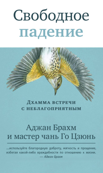 Аджан Брахм. Свободное падение. Дхамма встречи с неблагоприятным