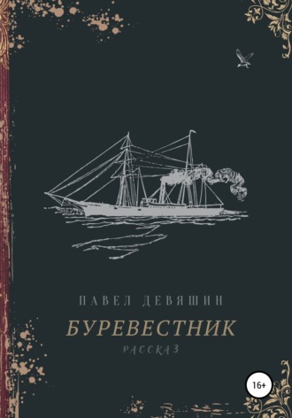 Буревестник. Павел Николаевич Девяшин