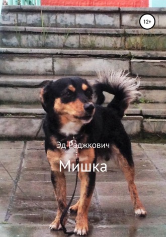 Эд Раджкович. Мишка