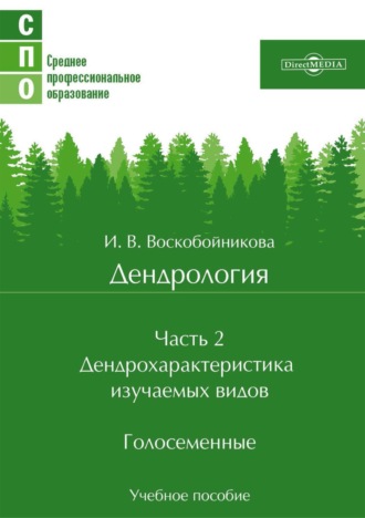 Дендрология. Часть 2. Дендрохарактеристика изучаемых видов. Голосеменные. И. В. Воскобойникова