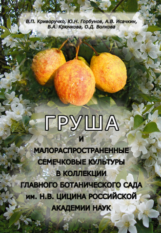 Виталий Криворучко. Груша и малораспространенные семечковые культуры в коллекции Главного ботанического сада им. Н.В. Цицина Российской академии наук