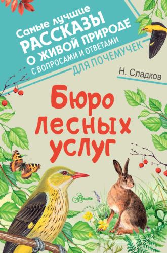 Бюро лесных услуг. 