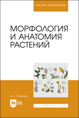 Д. Е. Румянцев. Морфология и анатомия растений. Учебное пособие для вузов