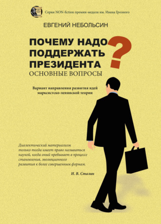 Евгений Анатольевич Небольсин. Почему надо поддержать президента? Основные вопросы