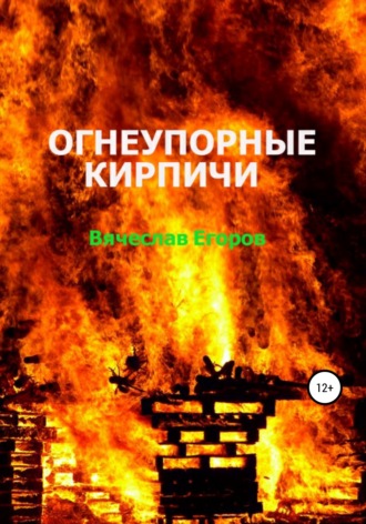 Вячеслав Анатольевич Егоров. Огнеупорные кирпичи