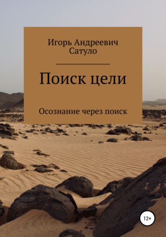 Игорь Андреевич Сатуло. Поиск цели
