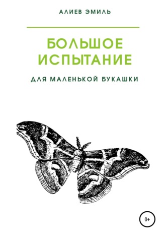 Большое испытание для маленькой букашки. 