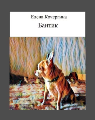 Елена Александровна Кочергина. Бантик