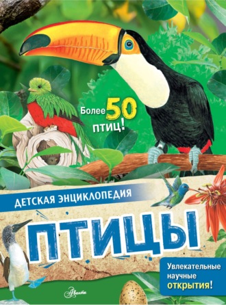 Ричард Смит. Птицы