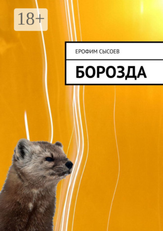 Борозда. 