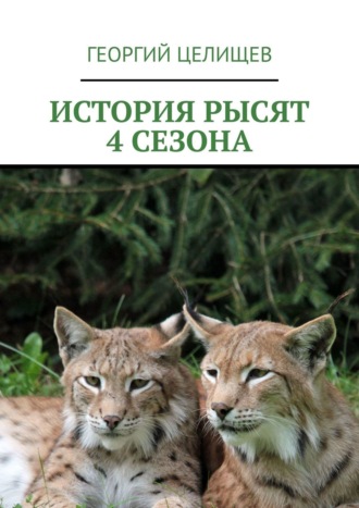 История рысят. 4 сезона. Георгий Целищев