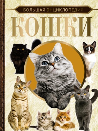 Большая энциклопедия. Кошки. 