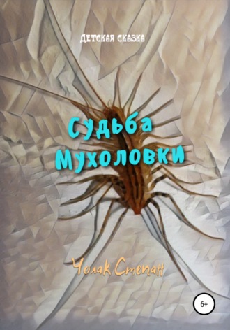 Степан Дмитриевич Чолак. Судьба мухоловки