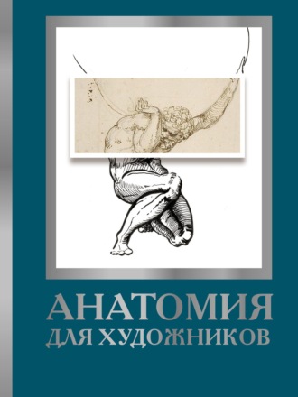 Дженнифер Крауч. Анатомия для художников
