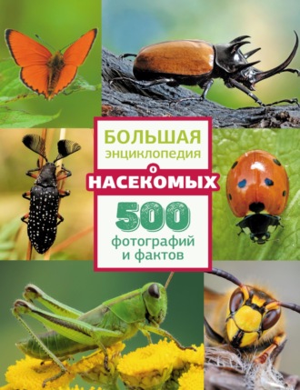 Большая энциклопедия о насекомых. 500 фотографий и фактов. 