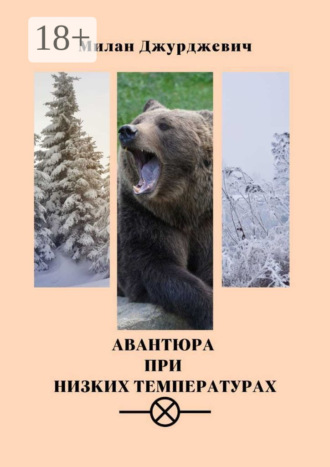 Авантюра при низких температурах. Милан Джурджевич
