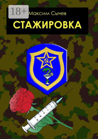 Максим Сычев. Стажировка
