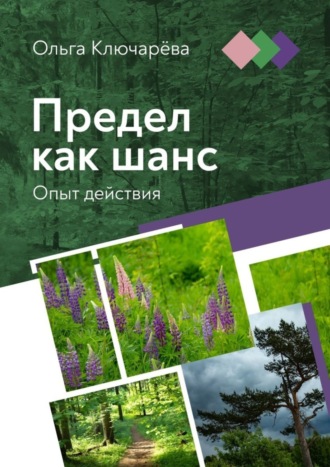 Предел как шанс. Опыт действия. Ольга Ключарёва